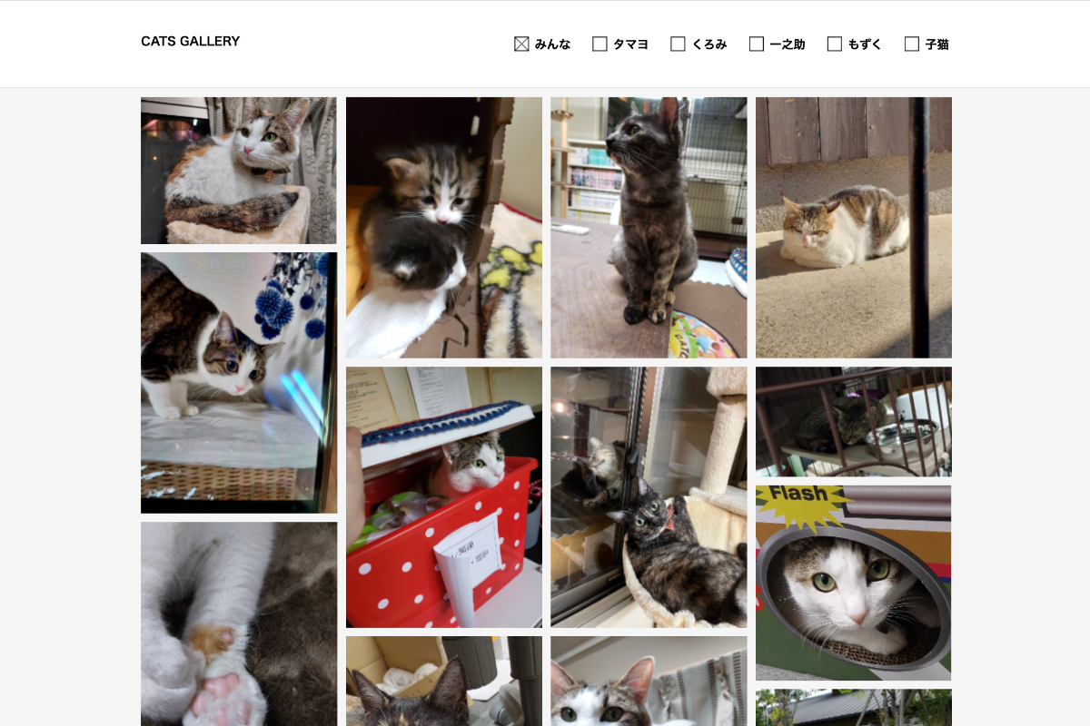 ギャラリーの画像